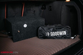 BMW X3: пневмосигнал и система подкачки колес Goodwin Box